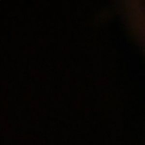 Meet your Posher, Bobbie